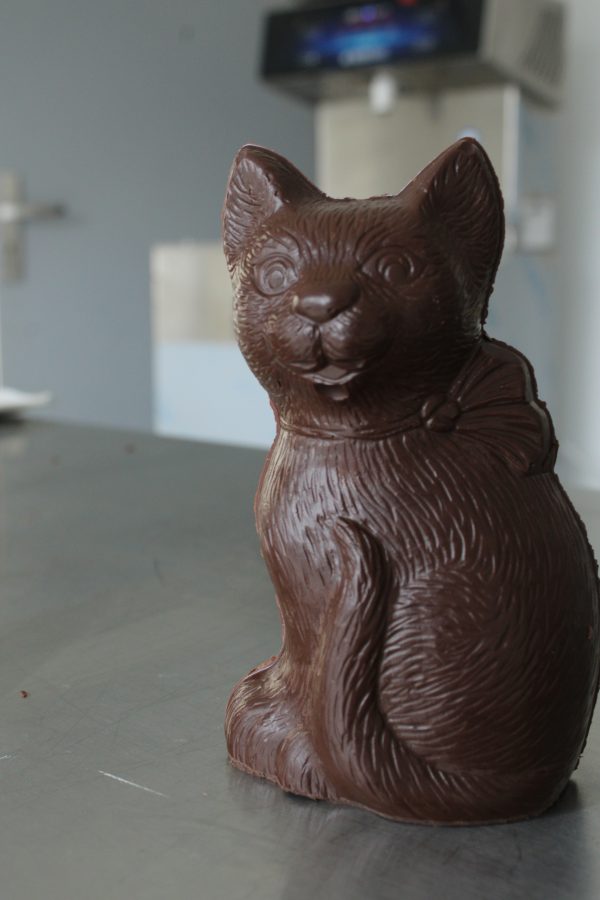 Photo d'un chat en chocolat